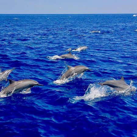 Blue Ocean Cabana Ξενοδοχείο Trincomalee Εξωτερικό φωτογραφία