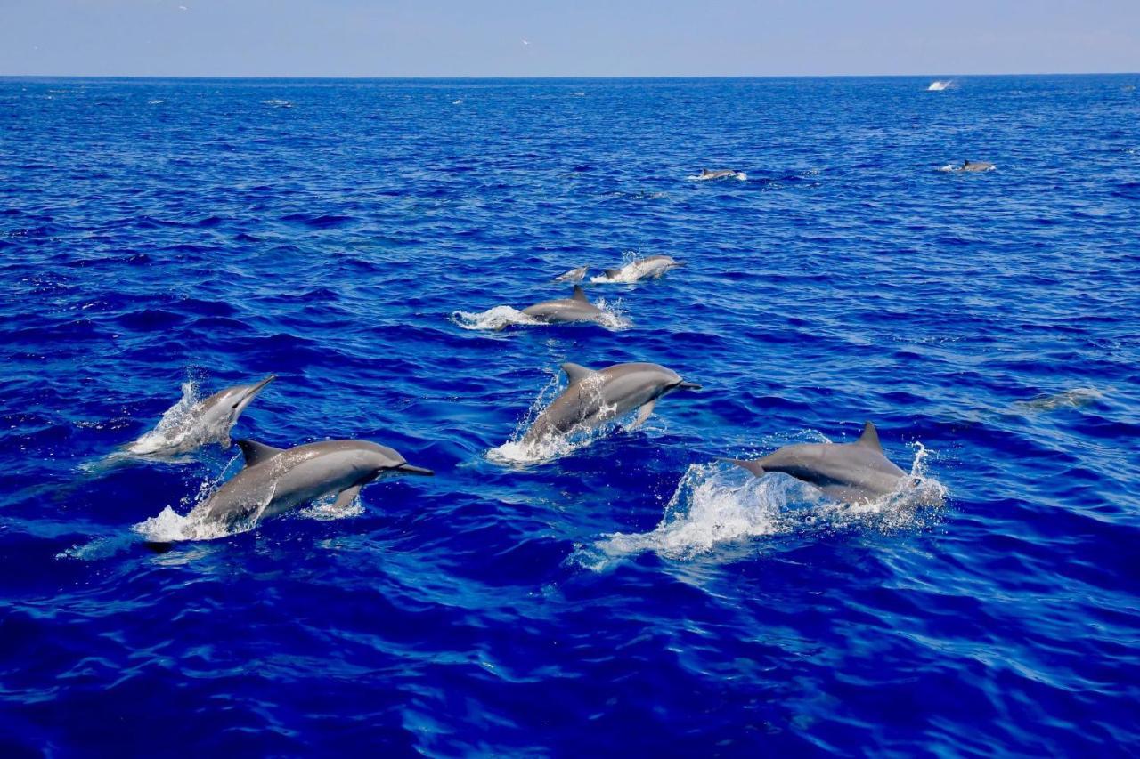 Blue Ocean Cabana Ξενοδοχείο Trincomalee Εξωτερικό φωτογραφία